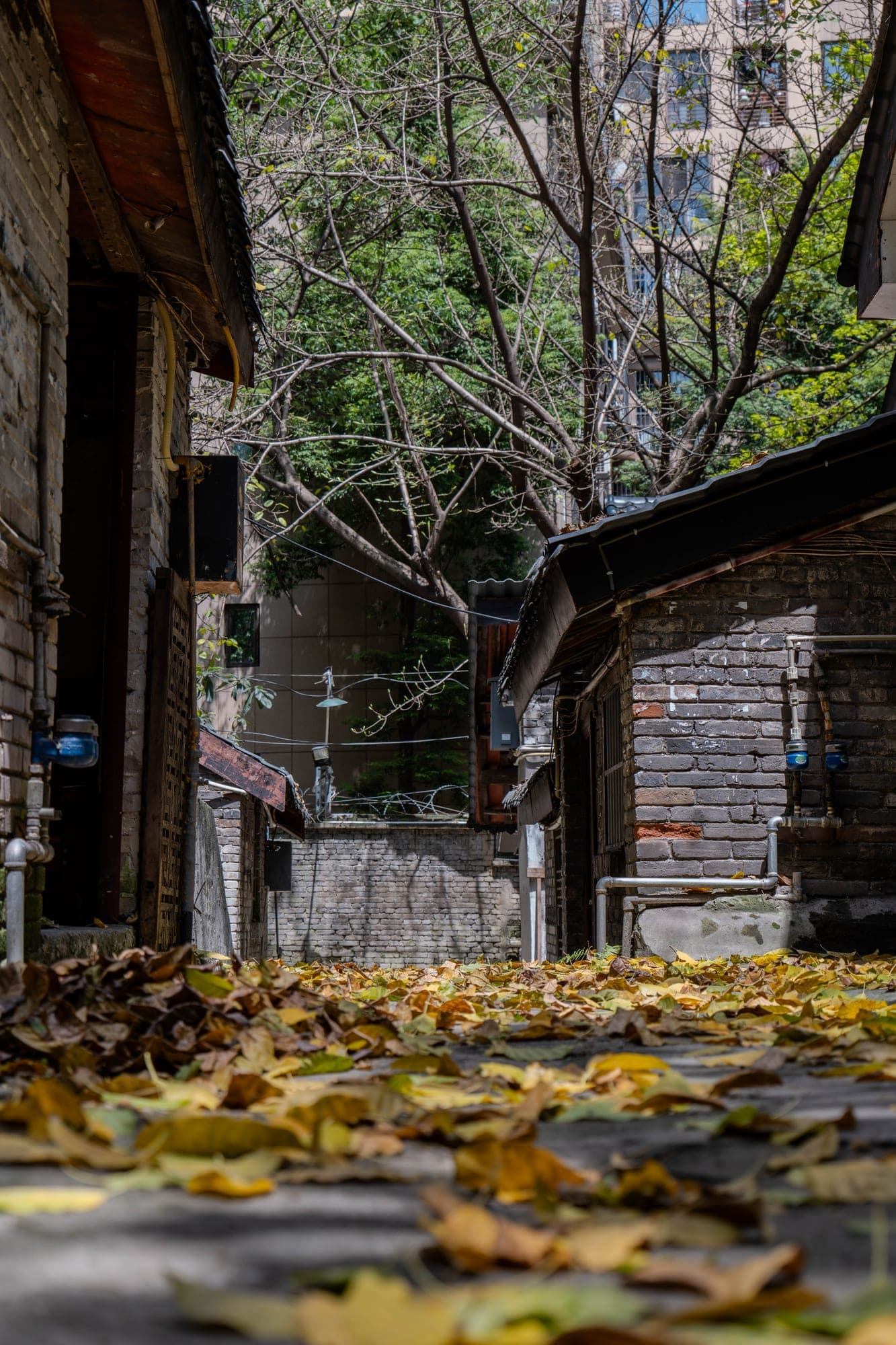 Pic-2026-04-25-19