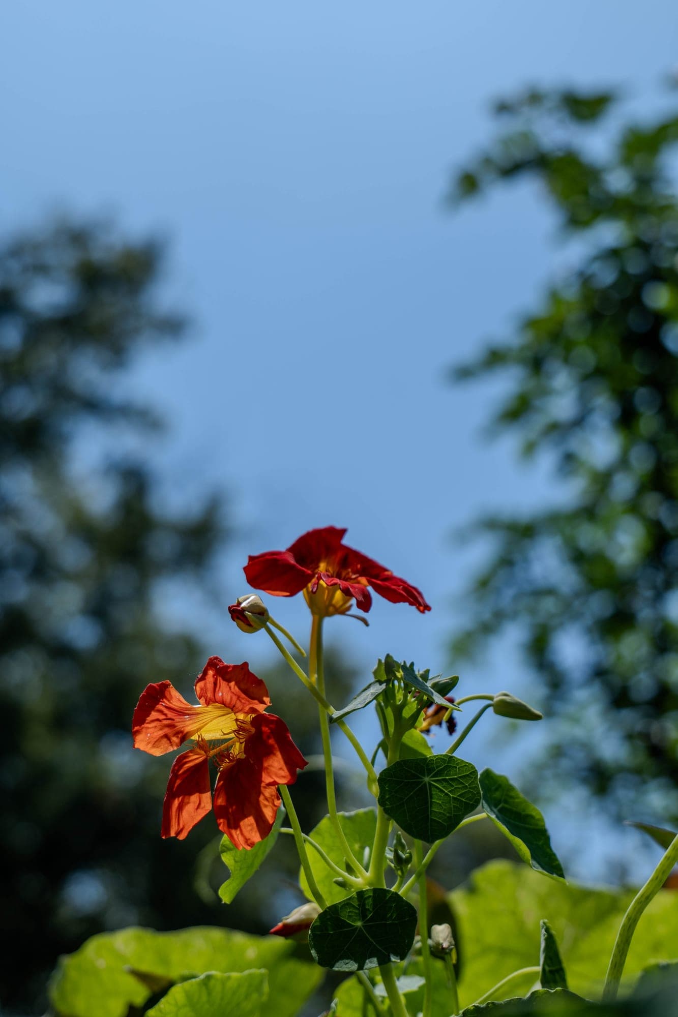 Pic-260418-21
